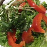 赤と緑のサラダ